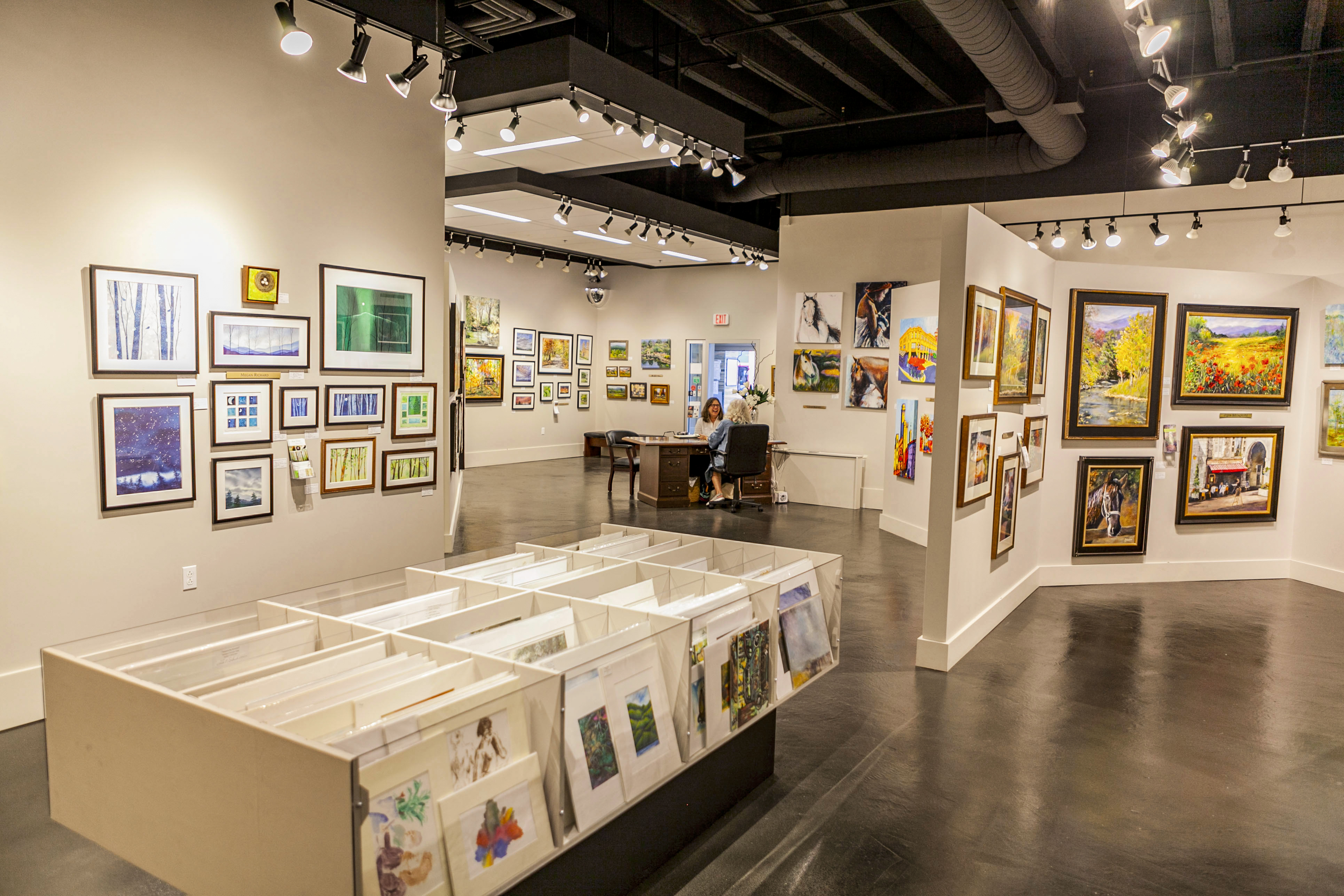 Asheville Gallery of Art photo 2